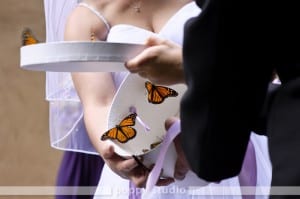 wedding butterflies