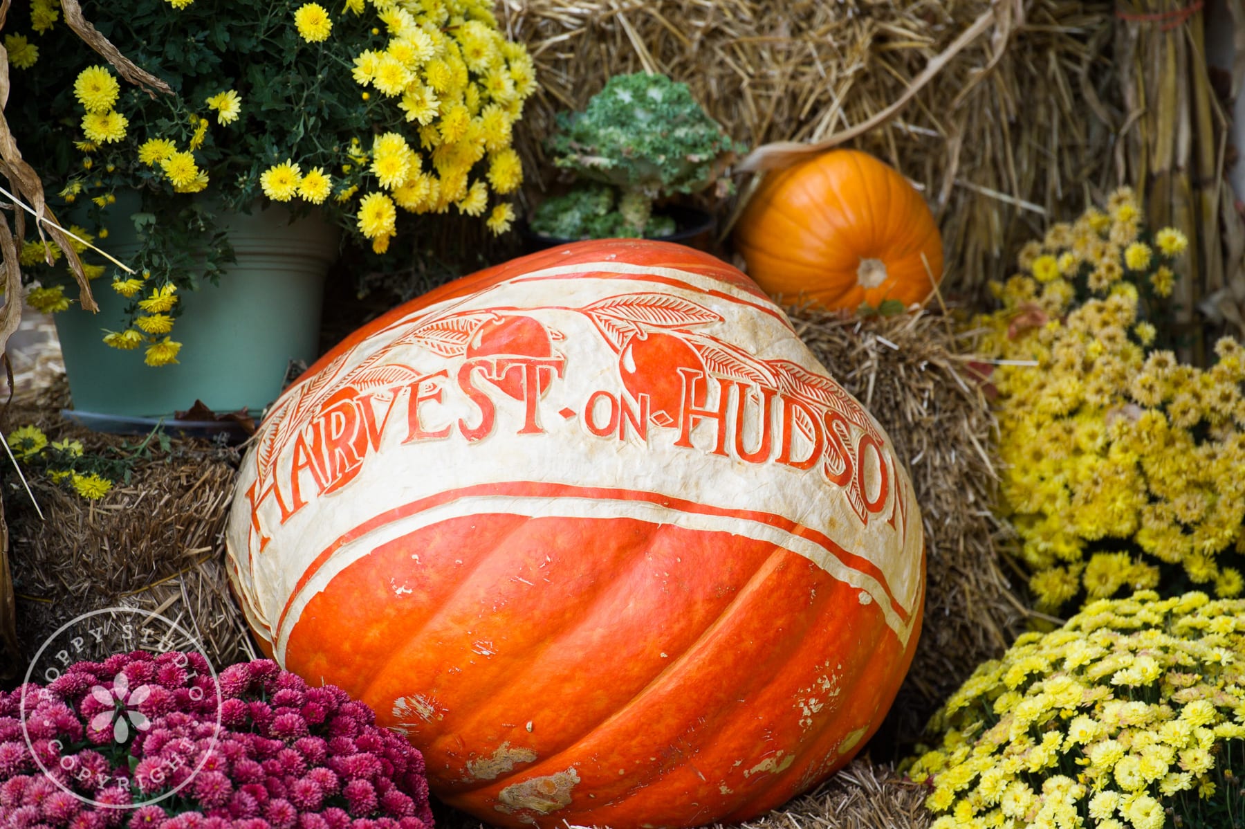 Fall wedding at harvest on hudson charlotte johnny westchester